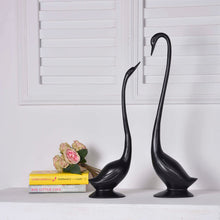 Load image into Gallery viewer, Black swan collection
